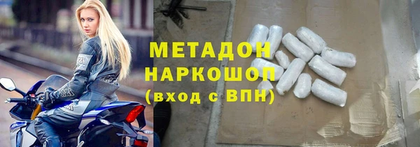 индика Гусиноозёрск