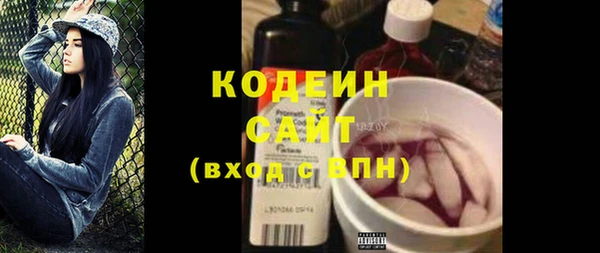 индика Гусиноозёрск