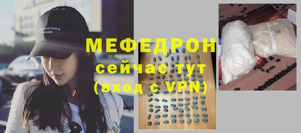 индика Гусиноозёрск