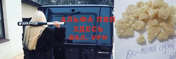 индика Гусиноозёрск