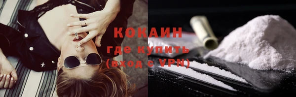 индика Гусиноозёрск