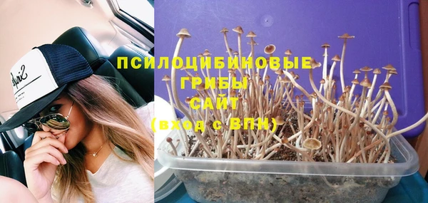 MESCALINE Дмитриев