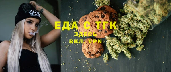индика Гусиноозёрск