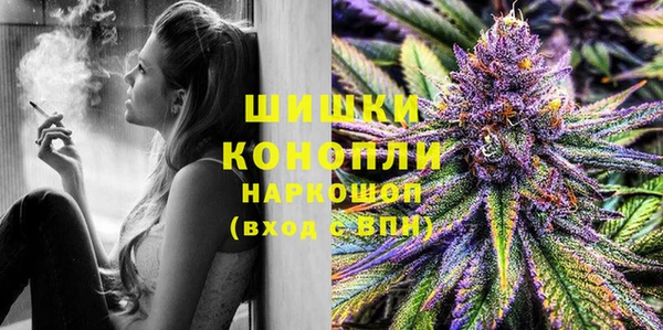 индика Гусиноозёрск