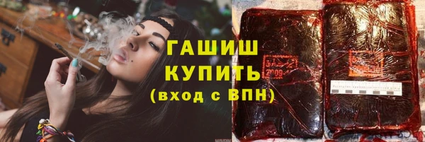 индика Гусиноозёрск