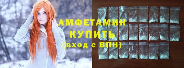 индика Гусиноозёрск