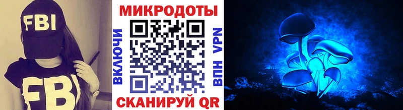 Купить  Тобольск  Псилоцибиновые грибы Psilocybine cubensis 